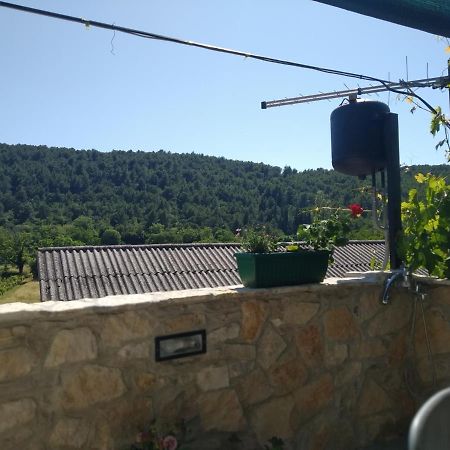 Hotel Milica App Skradinsko Polje 24 Extérieur photo